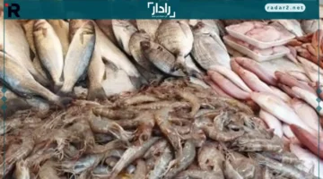 أسعار البلطي في القليوبية تتراجع إلى 70 جنيهاً الأحد 16-11-2025